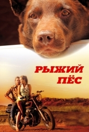 
Рыжий пес (2011) 