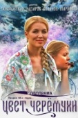 Постер Цвет черемухи (2012)