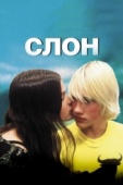 Постер Слон (2003)