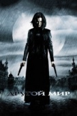 Постер Другой мир (2003)