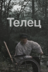 Постер Телец 